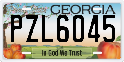 GA license plate PZL6045