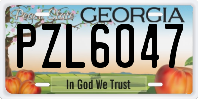 GA license plate PZL6047