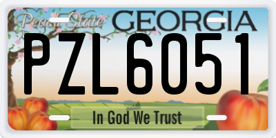GA license plate PZL6051