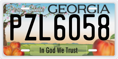 GA license plate PZL6058