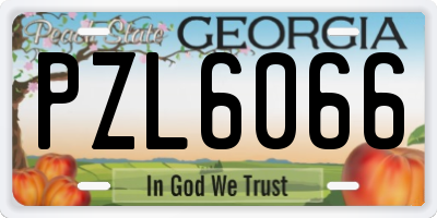 GA license plate PZL6066