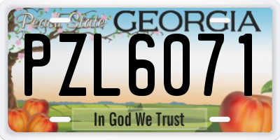 GA license plate PZL6071