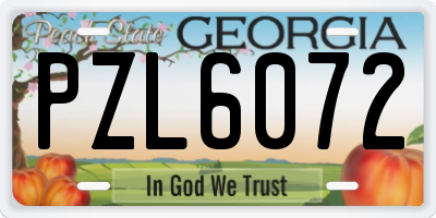 GA license plate PZL6072