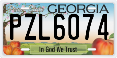 GA license plate PZL6074