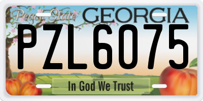 GA license plate PZL6075