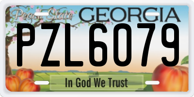 GA license plate PZL6079