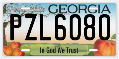 GA license plate PZL6080