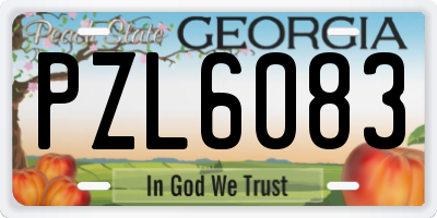 GA license plate PZL6083