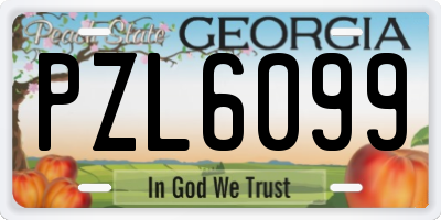 GA license plate PZL6099