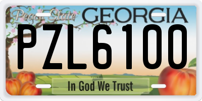 GA license plate PZL6100