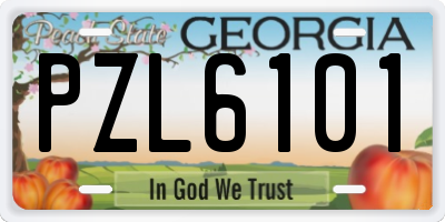 GA license plate PZL6101