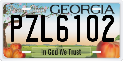 GA license plate PZL6102
