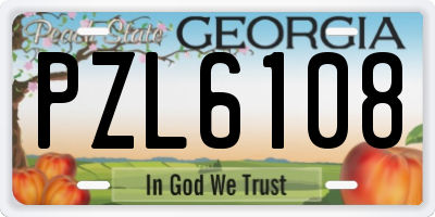 GA license plate PZL6108