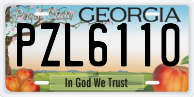 GA license plate PZL6110