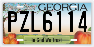 GA license plate PZL6114