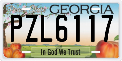 GA license plate PZL6117