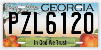 GA license plate PZL6120