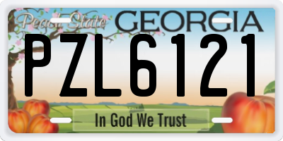 GA license plate PZL6121