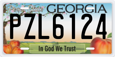 GA license plate PZL6124