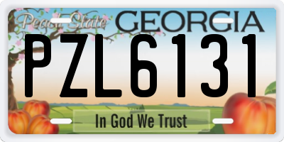 GA license plate PZL6131