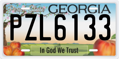 GA license plate PZL6133