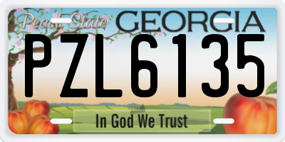 GA license plate PZL6135