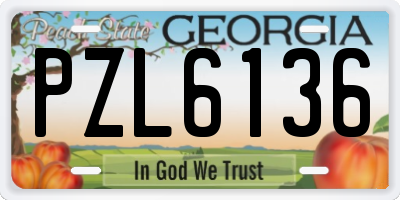 GA license plate PZL6136