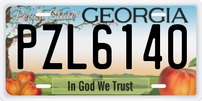 GA license plate PZL6140