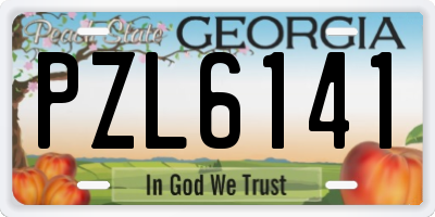 GA license plate PZL6141
