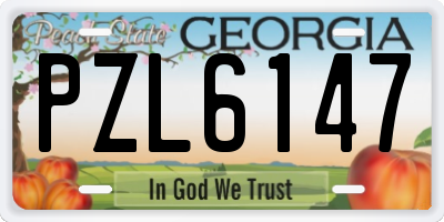 GA license plate PZL6147