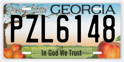 GA license plate PZL6148