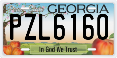 GA license plate PZL6160