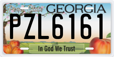 GA license plate PZL6161