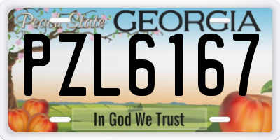 GA license plate PZL6167