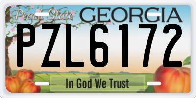 GA license plate PZL6172