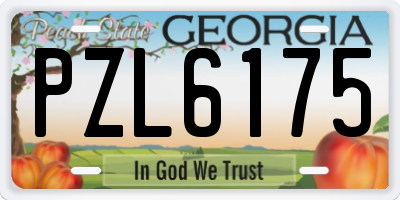 GA license plate PZL6175