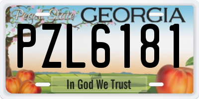 GA license plate PZL6181