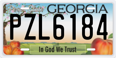GA license plate PZL6184