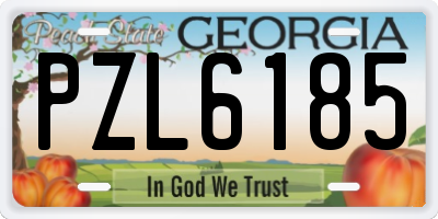 GA license plate PZL6185
