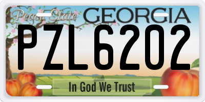 GA license plate PZL6202