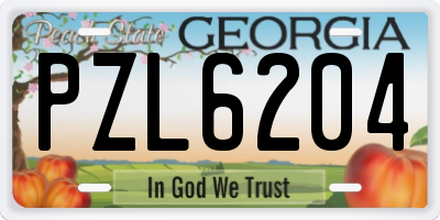 GA license plate PZL6204