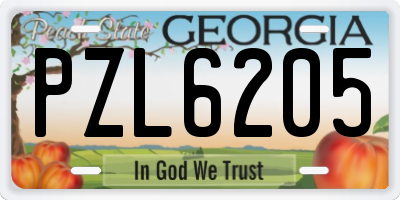 GA license plate PZL6205