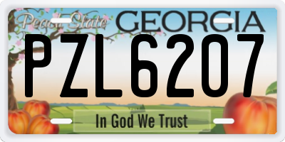 GA license plate PZL6207