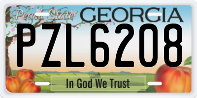 GA license plate PZL6208