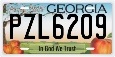 GA license plate PZL6209
