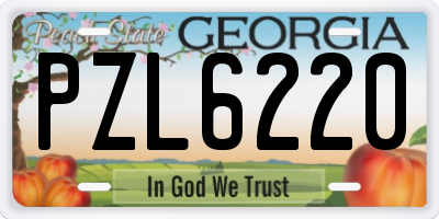 GA license plate PZL6220