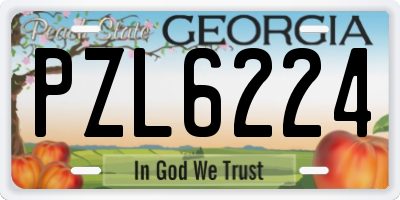 GA license plate PZL6224