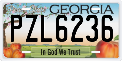 GA license plate PZL6236