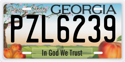 GA license plate PZL6239