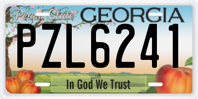 GA license plate PZL6241